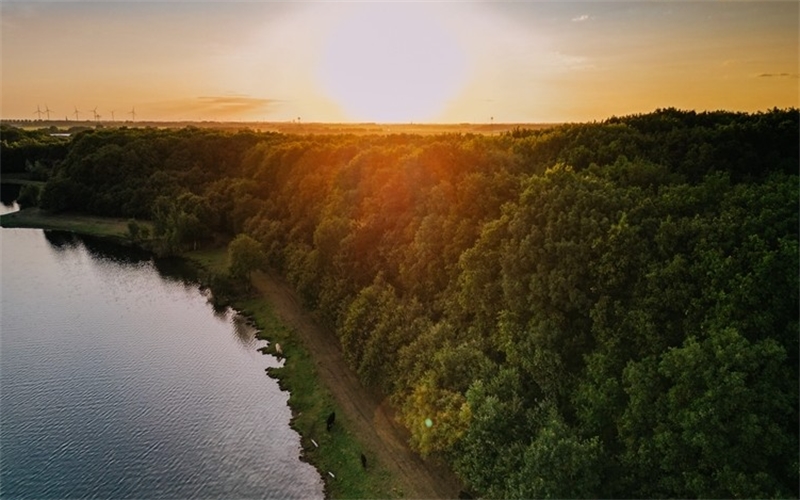 Groene bossen met ondergaande zon