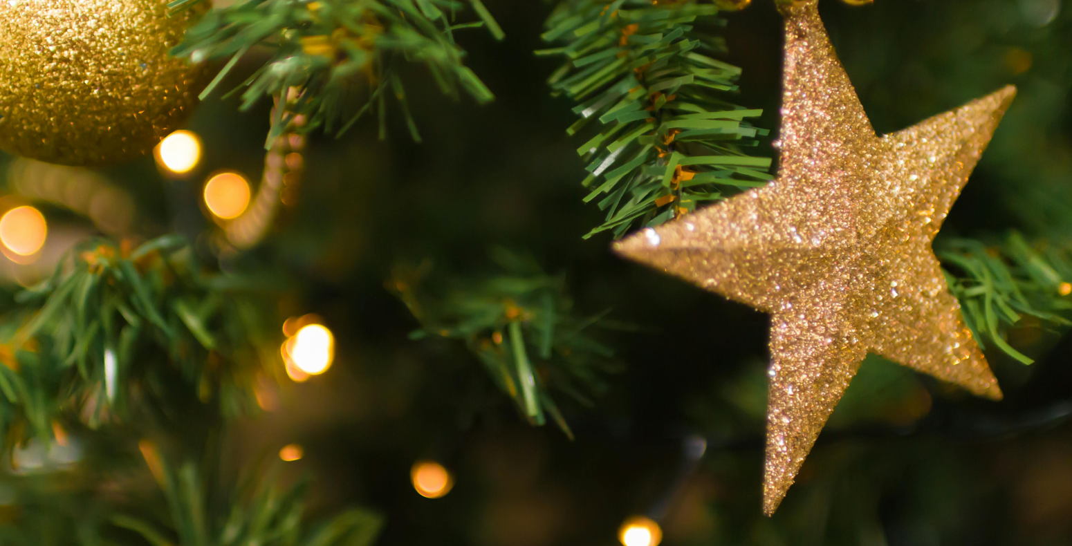 kerstdecoratie houtse meer